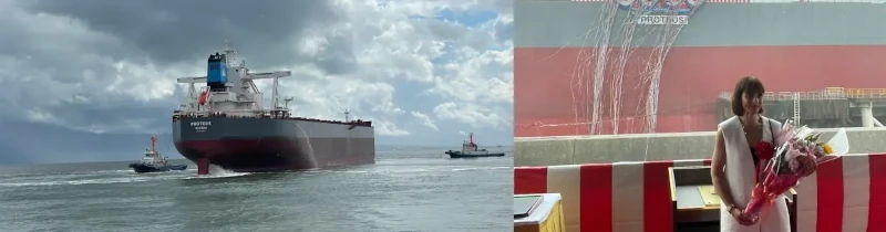 jhi-timeline-proteus2